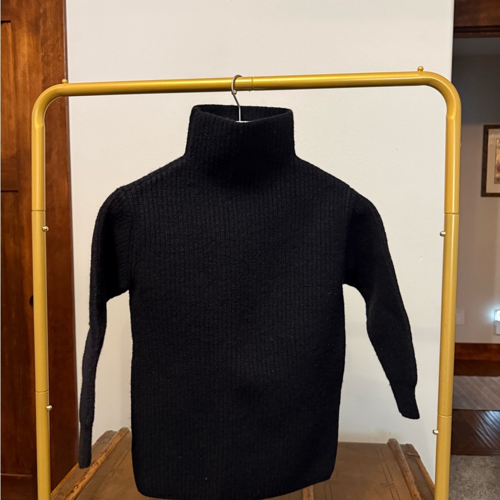 Wilfred Black Turtleneck Sweater